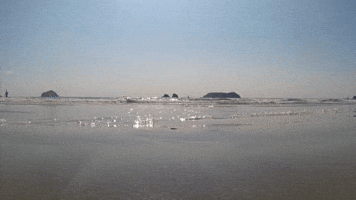 The first thing about Faux (2016)