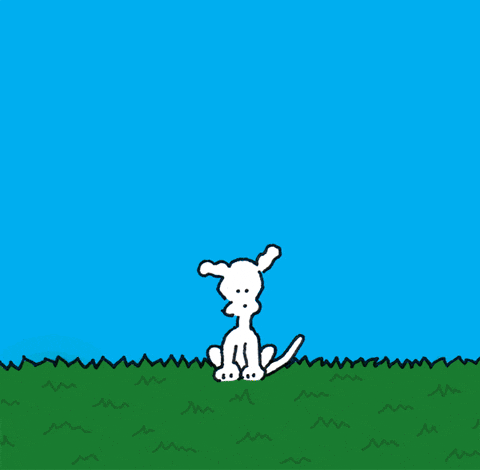 I Love You Dogs GIF by Chippy the Dog