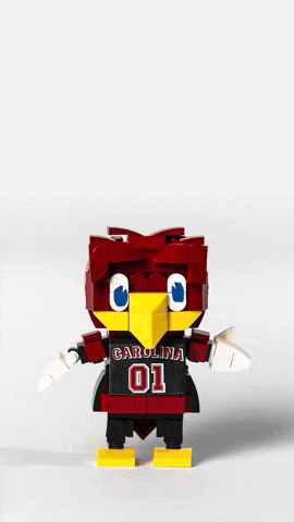 Mascot Give GIF by University of South Carolina