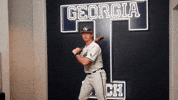 Georgia Tech Baseball GIF by Georgia Tech Yellow Jackets