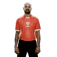 Game Win Sticker by Dream11