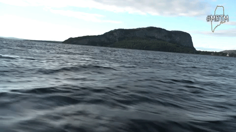 moosehead lake mbtm GIF