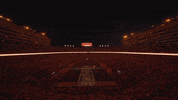 Football Win GIF by Tennessee Athletics