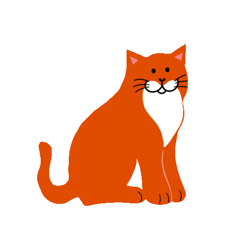 Cat Orange Sticker