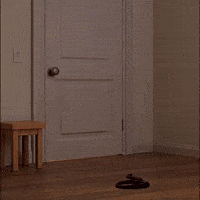 Happy Mood GIF