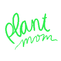Flower Plant Sticker