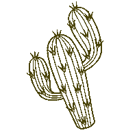 Boho Cactus Sticker