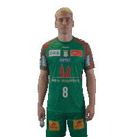 Handball Scm Sticker by DAIKIN HBL