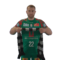Handball Scm Sticker by DAIKIN HBL