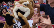 sport ozzie t cougar GIF by Kane County Cougars