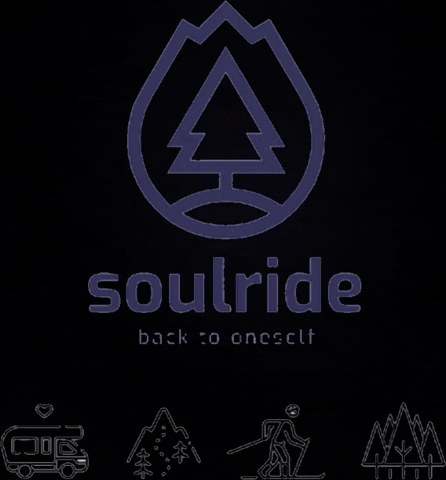 Soulride positive trees skiing roadtrip GIF