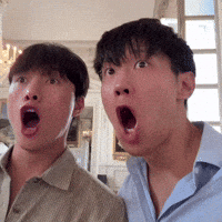 Ho Wow GIF