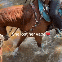 Horseback Riding Water GIF by Respective
