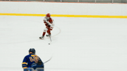 IupHockey goal hockey acha iup GIF