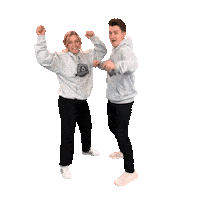 Happy Dance Sticker by hsfreseniuscampus