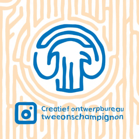 tweeonschampignon giphygifmaker toc twee ons champignon tweeonschampignon GIF