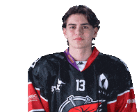 Hair Hokej Sticker by Piráti Chomutov