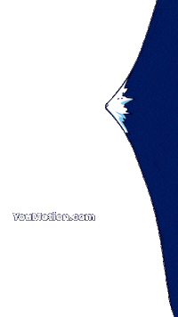 Animation Fire Sticker by youmotion.com