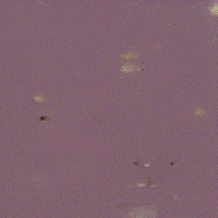 Artificial Intelligence Ai GIF