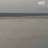 Venture Capital Data GIF by Invest Europe