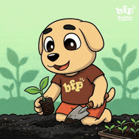 Happy Garden GIF by Buddies for Paws