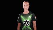 vflwolfsburg sports sport soccer gif GIF