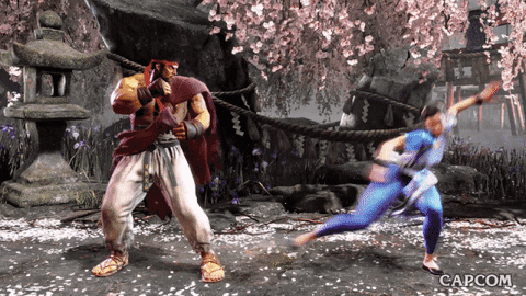 Video Game Fighting GIF by CAPCOM