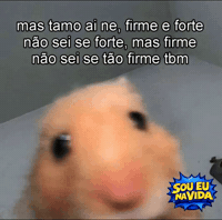 Hamster Figurinhas GIF by Sou Eu Na Vida
