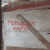 Writing Gate GIF by TRT
