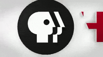 Public Television GIF by PBS News