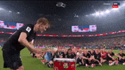 Winning World Cup GIF by Respective