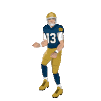 College Football Fighting Sticker by Panini America
