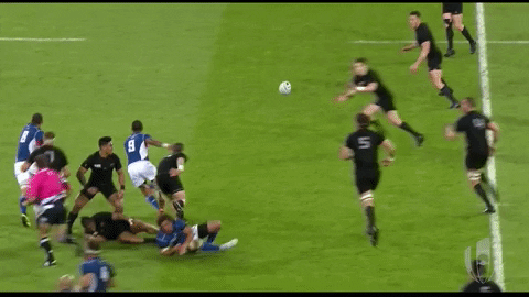 Namibia Rugby GIF by Rugby World Cup