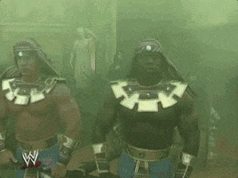 The Undertaker Sport GIF by WWE