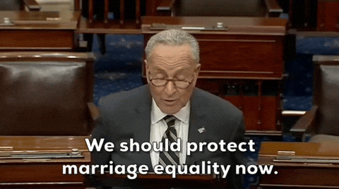 Marriage Equality Lgbtq Rights GIF by GIPHY News