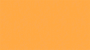 colour love GIF by Yukai Du