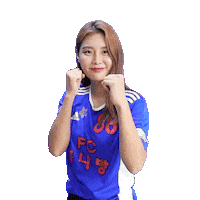 Football Sport Sticker