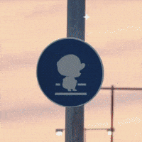 One Piece Japan GIF
