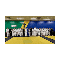 Black Belt Sticker by Brazilian Top Team