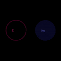 words irl GIF