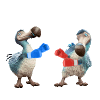 Boxing Ko Sticker by Dodo Australia