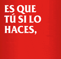Amstel_ES beer ok perfect well done GIF