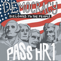 We The People Democrat GIF by Creative Courage