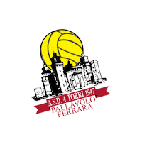 Sport Volley Sticker by CEMA NEXT