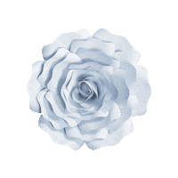 Party 花 Sticker by takanaga