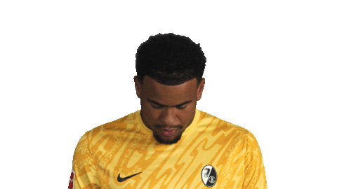 Look Up Sc Freiburg Sticker by Bundesliga