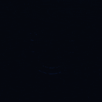 Visiblemobile GIF by Visible