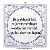 Hoop Nl GIF by Tegelspreuken.nl