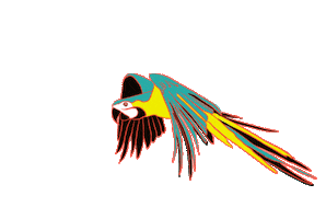 fanysalatino brasil tropical macaw arara Sticker