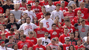 Ohio State Crowd GIF by Ohio State Athletics